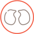 Icon of the lungs.