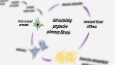 Scheme demonstrating pathophysiology of self-sustaining progressive fibrosis in progressive fibrosing ILD.
