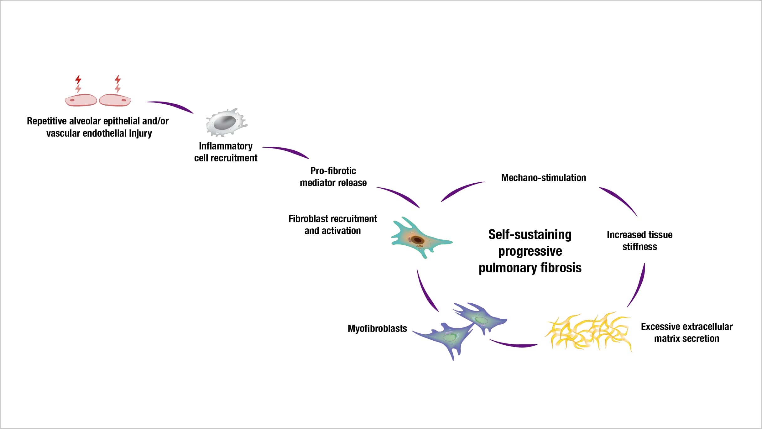 Mechanisms of self-sustaining progressive fibrosis