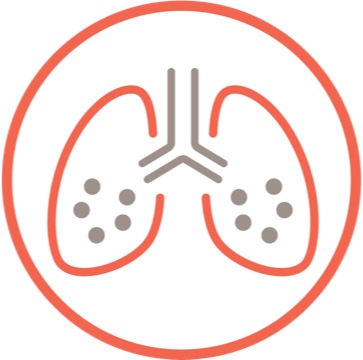 Increase extent of fibrosis on HRCT