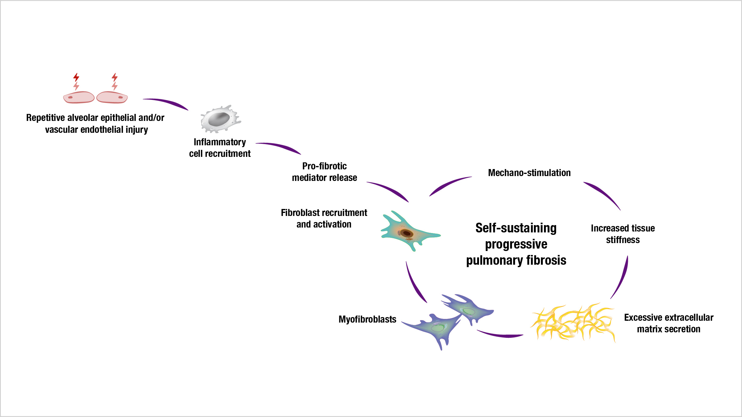 Self-sustaining progressive fibrosis mechanisms of CTD-ILDs