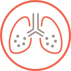 Radiological (e.g. HRCT) evidence of pulmonary fibrosis progression